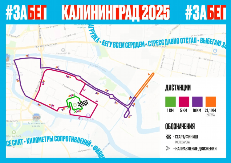 Афиша калининград спорт