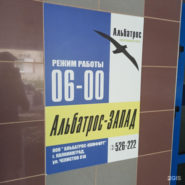 Альбатрос калининград цены на московском