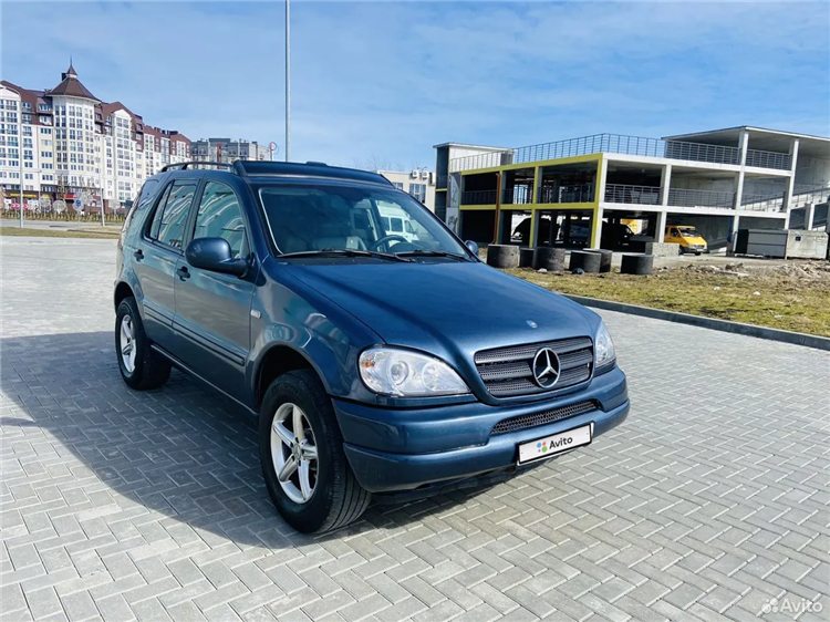 Авито калининград купить