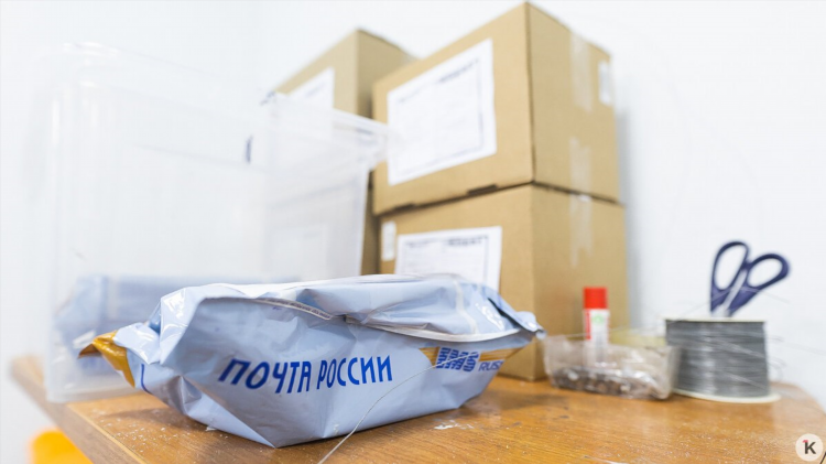 Авито калининградская область черняховск