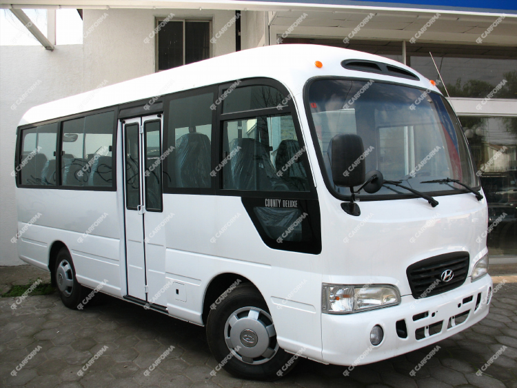 Автобус 82 калининград онлайн