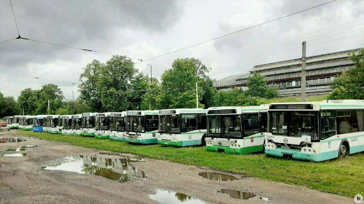 Автобус из калининграда в польшу