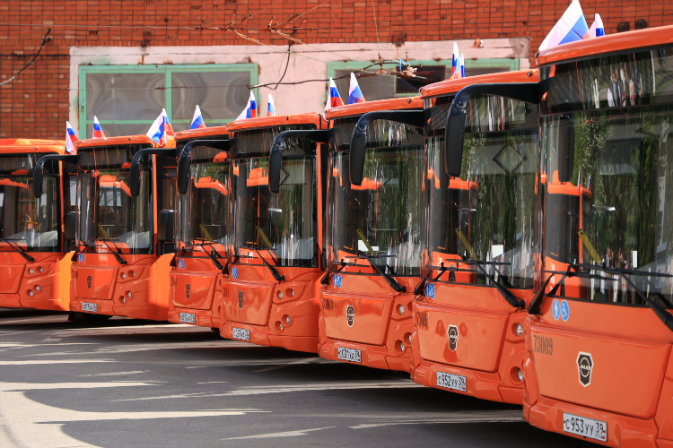 Автобусы онлайн калининград 7