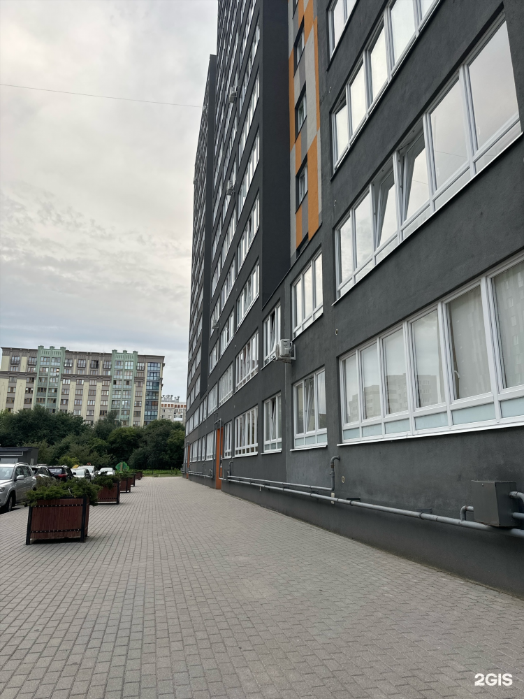 Дадаева калининград