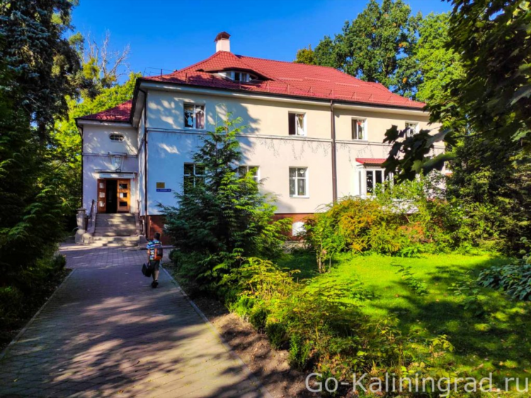 Экскурсия амалиенау в калининграде