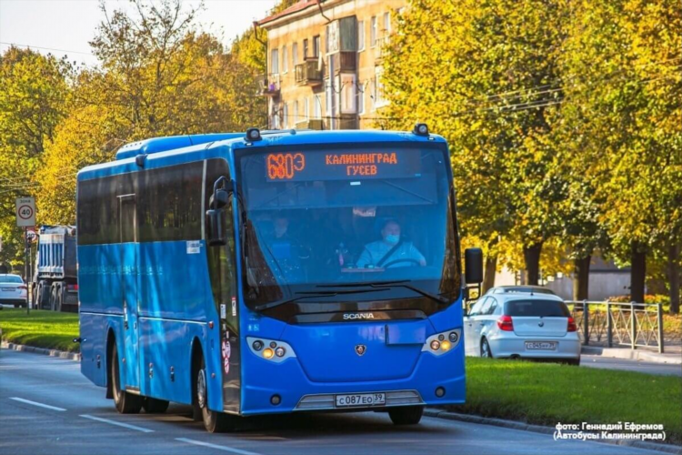 Где автобус 5 калининград