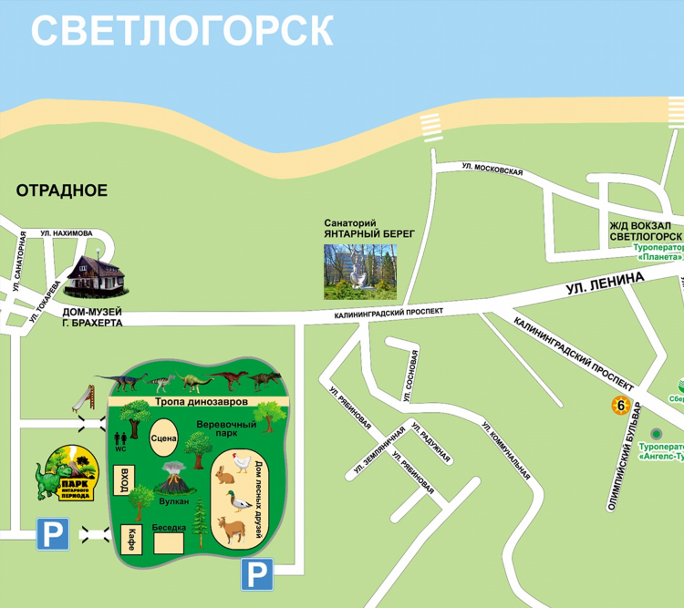 Из калининграда в светлогорск как добраться