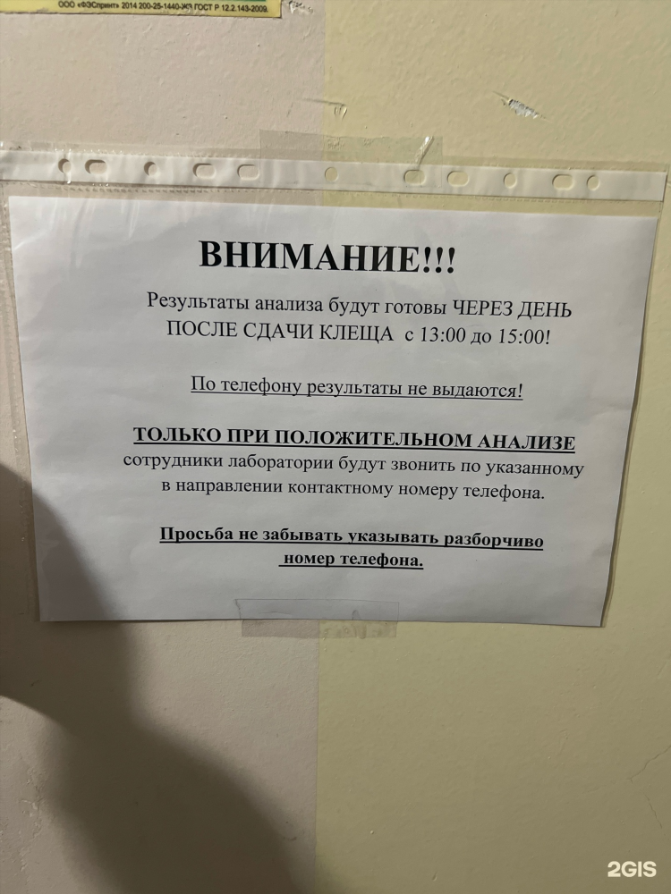 Калининград код телефона