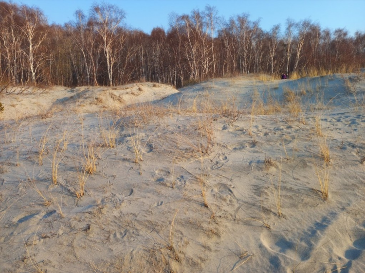 Калининград погода апрель