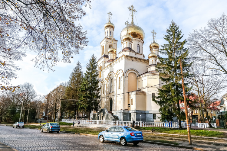 Калининград сиреневый бульвар