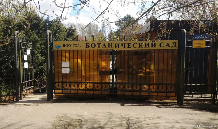 Калининград университет канта