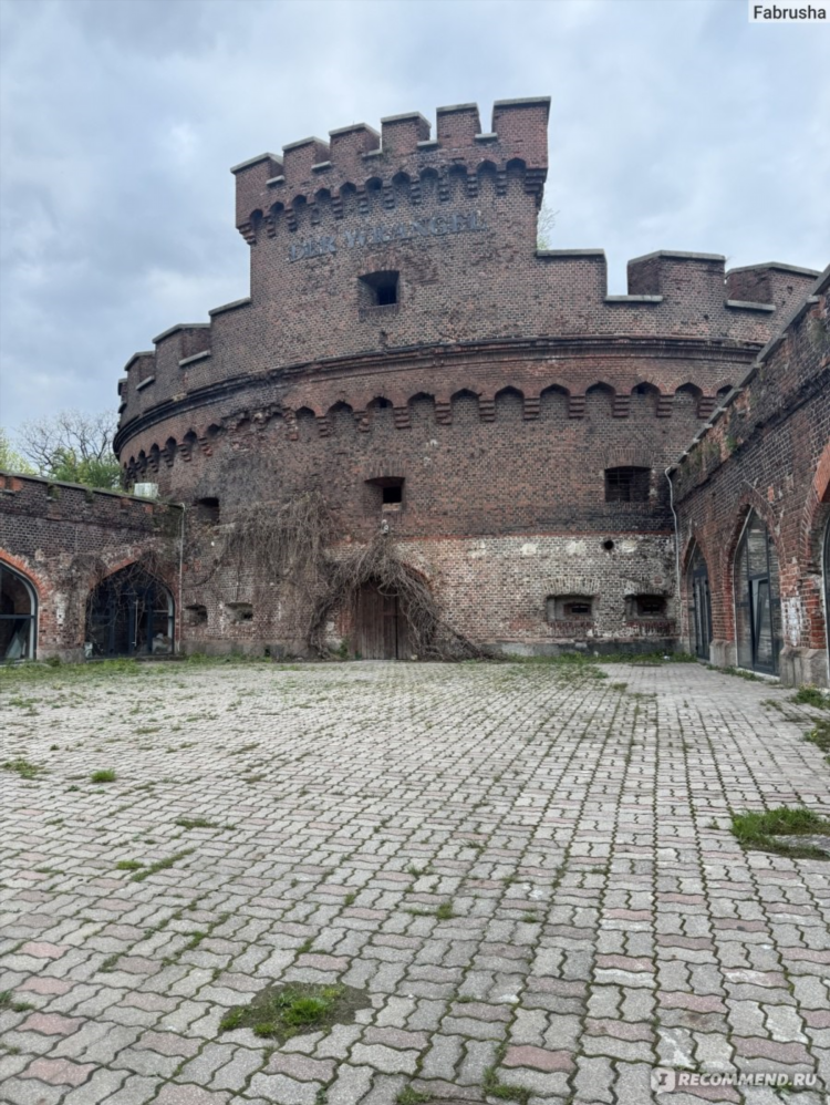 Холмины в калининграде история