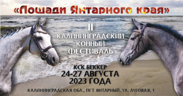 Конный спорт в калининграде