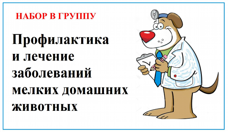 Курсы переподготовки в калининграде