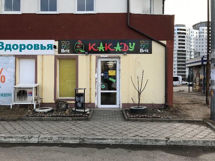 Магазины какаду в калининграде адреса