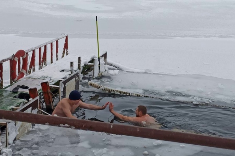 Моржи в калининграде