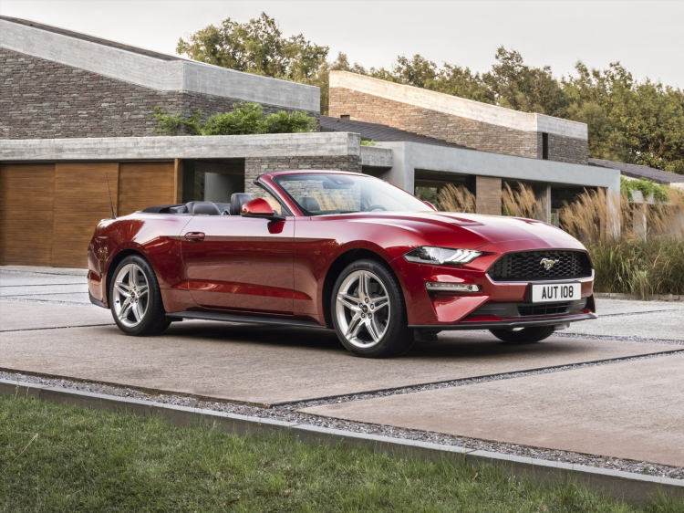 Mustang калининград