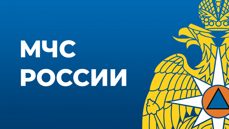 Налоговая в калининграде для физических лиц адрес