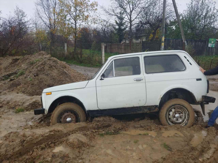 Нива калининград