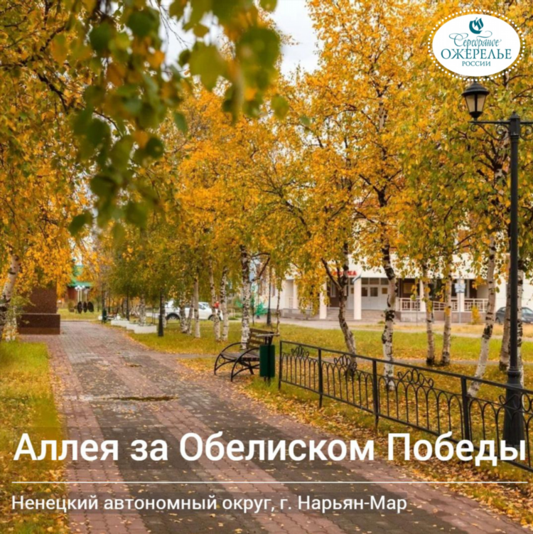 Осенняя калининград