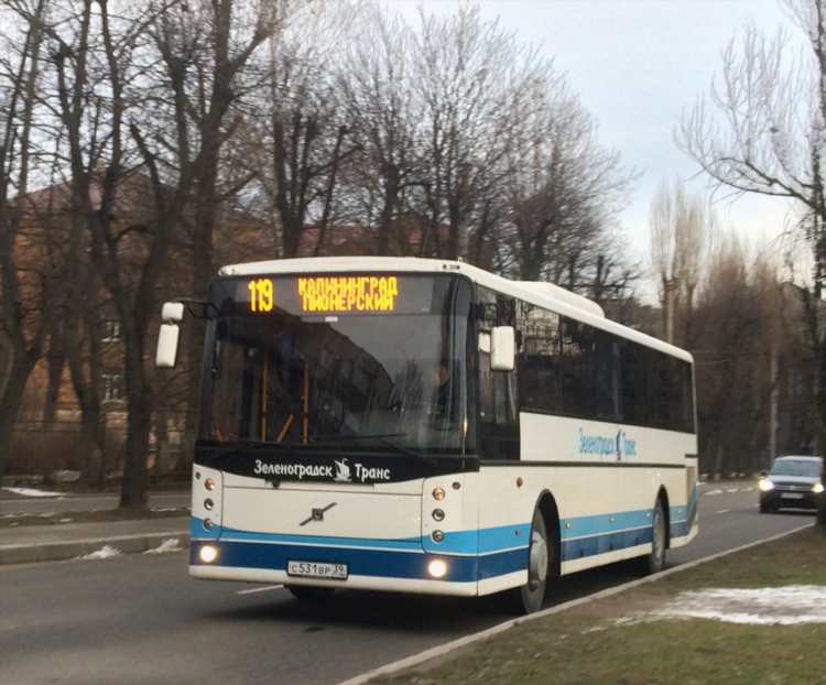Пионерский калининград автобус расписание 119