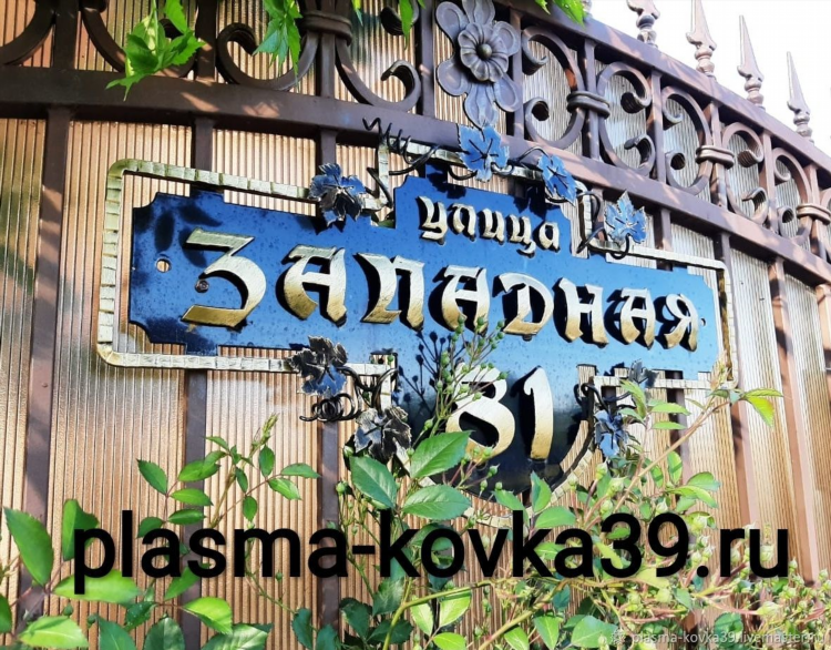 Плазма калининград