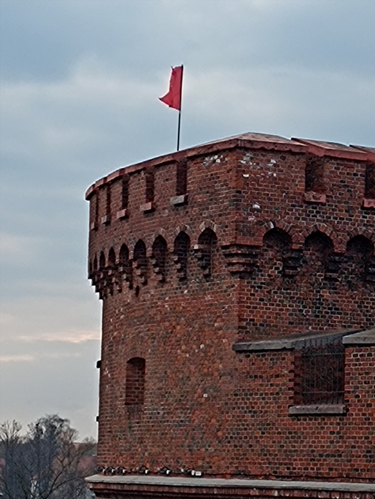 Поездка в калининград