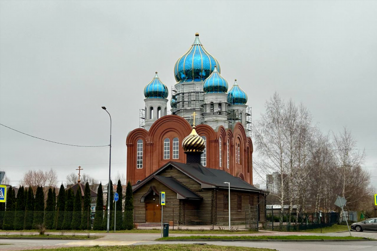Работа на сельме калининград