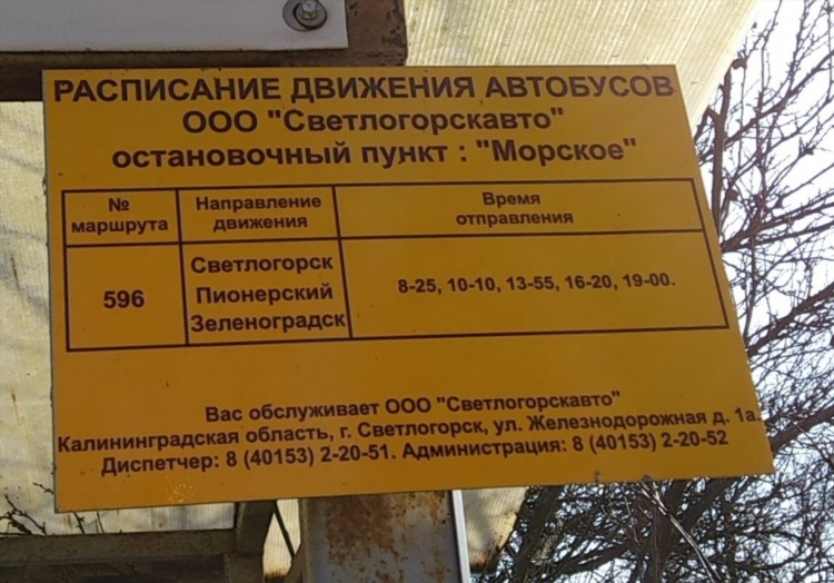 Расписание 114 автобуса зеленоградск калининград на сегодня