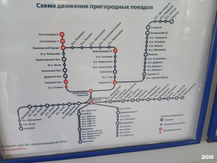 Расписание 244 э калининград