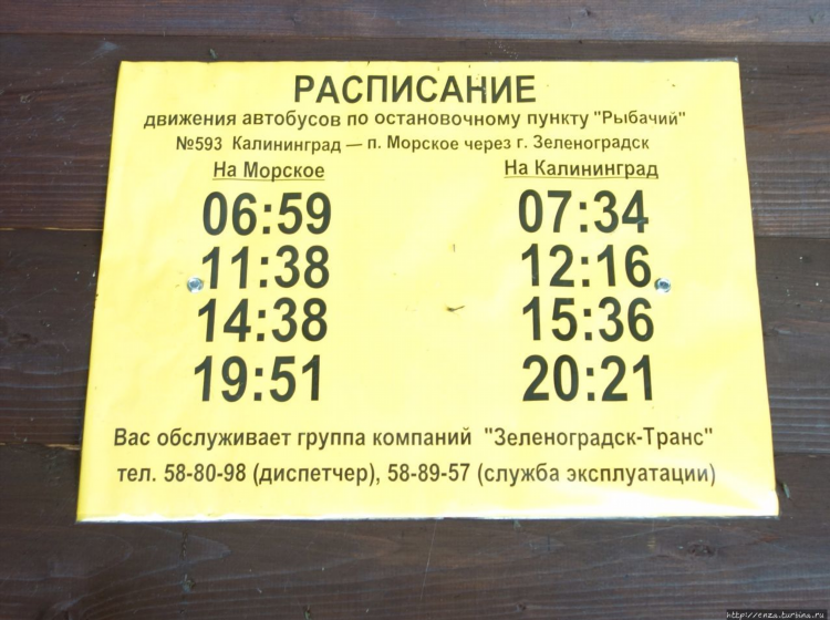 Расписание автобусов калининград мамоново 117 на сегодня