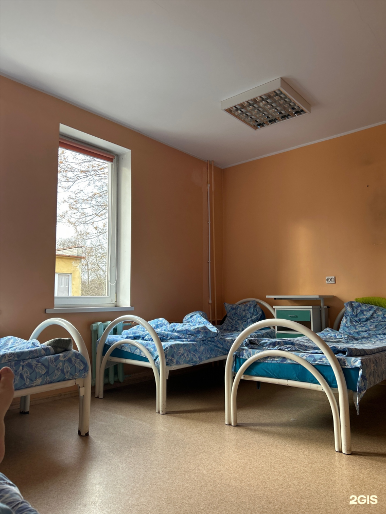 Роддом 4 калининград врачи