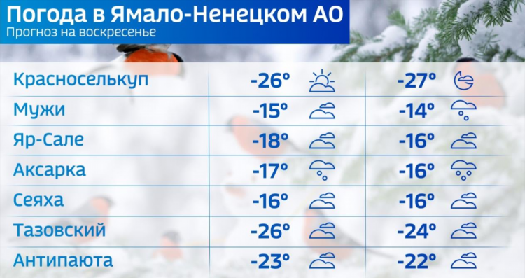 Ру метео калининград