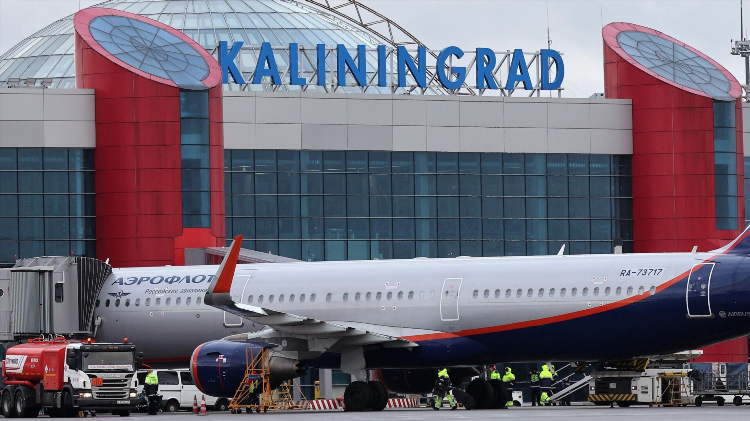 Самолет калининград санкт петербург