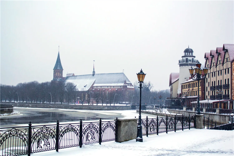 Schaaken dorf калининград