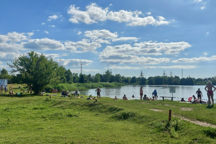 Шенфлис калининград