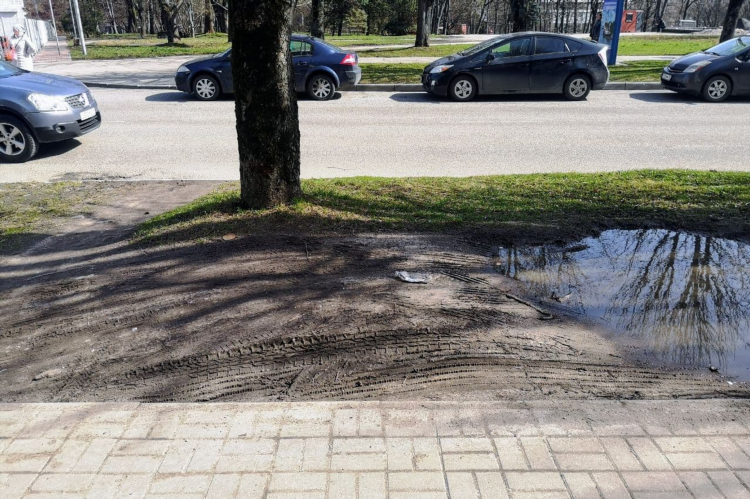 Шинный двор в калининграде