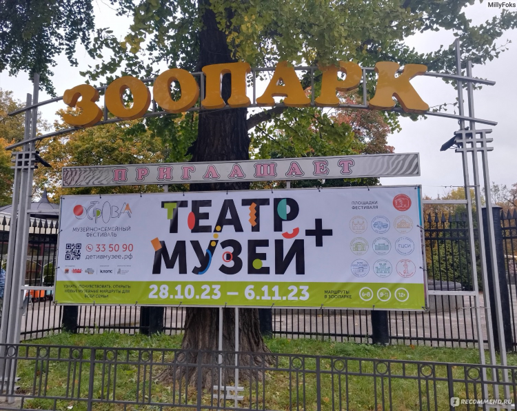 Сколько стоит вход в зоопарк в калининграде