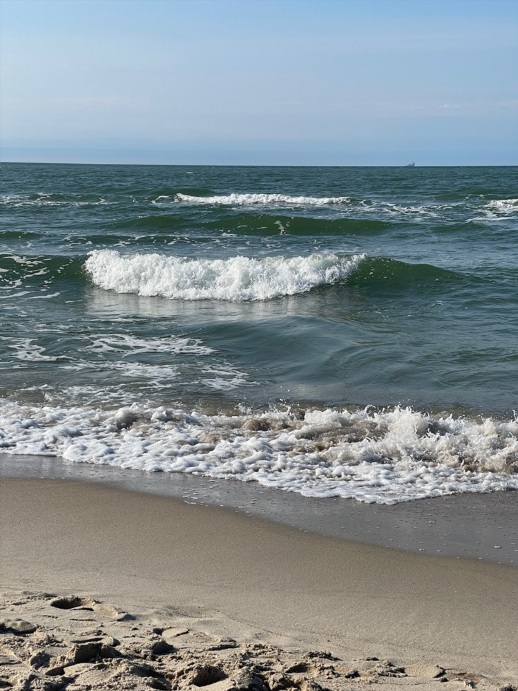 Температура воды калининград море