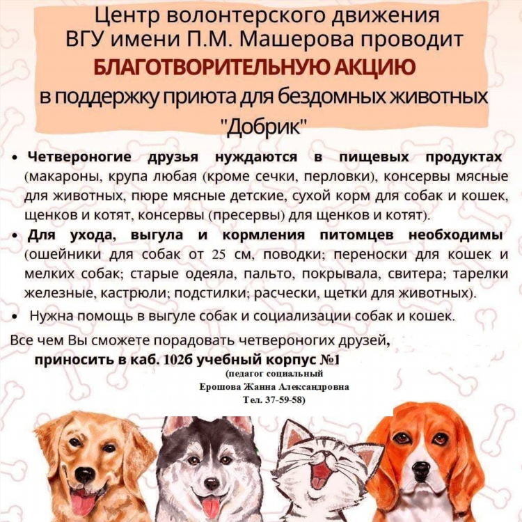 Центр для безнадзорных животных калининград сайт