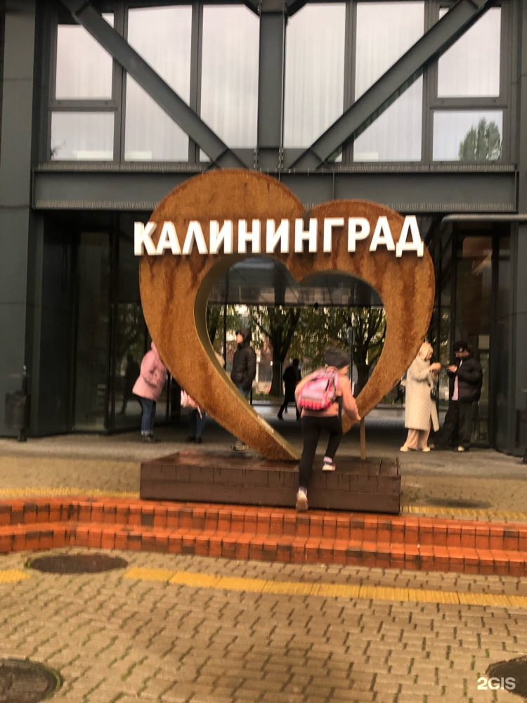 Тугис калининград